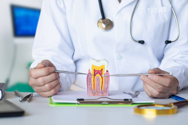 Best Pediatric Emergency Dentist in Mount Repose, OH